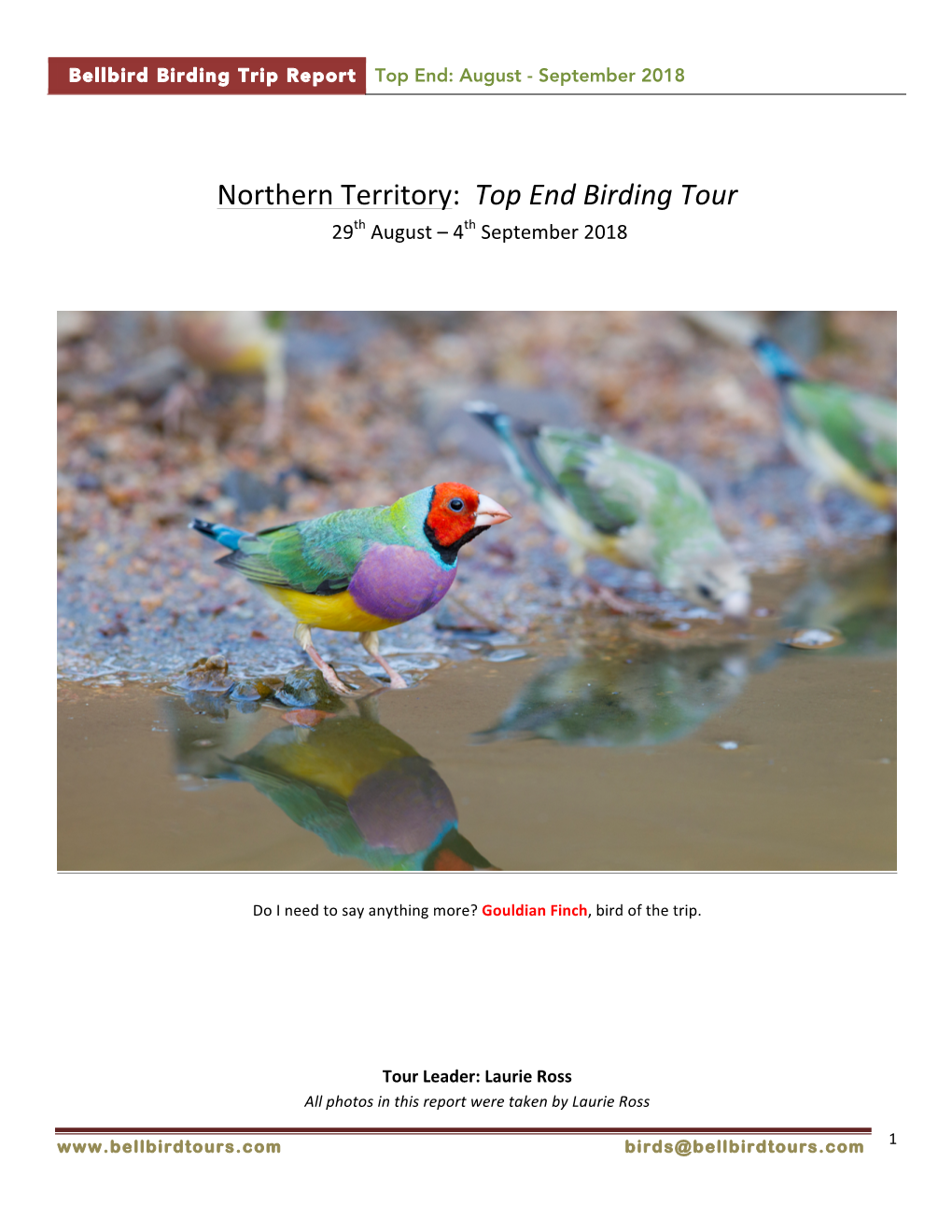 Northern Territory: Top End Birding Tour 29Th August – 4Th September 2018