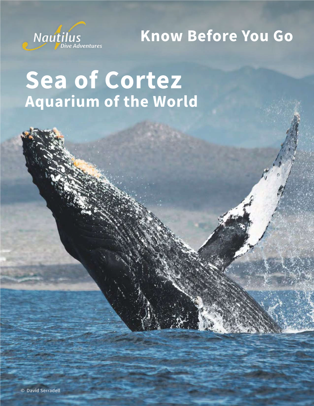 Sea of Cortez Aquarium of the World