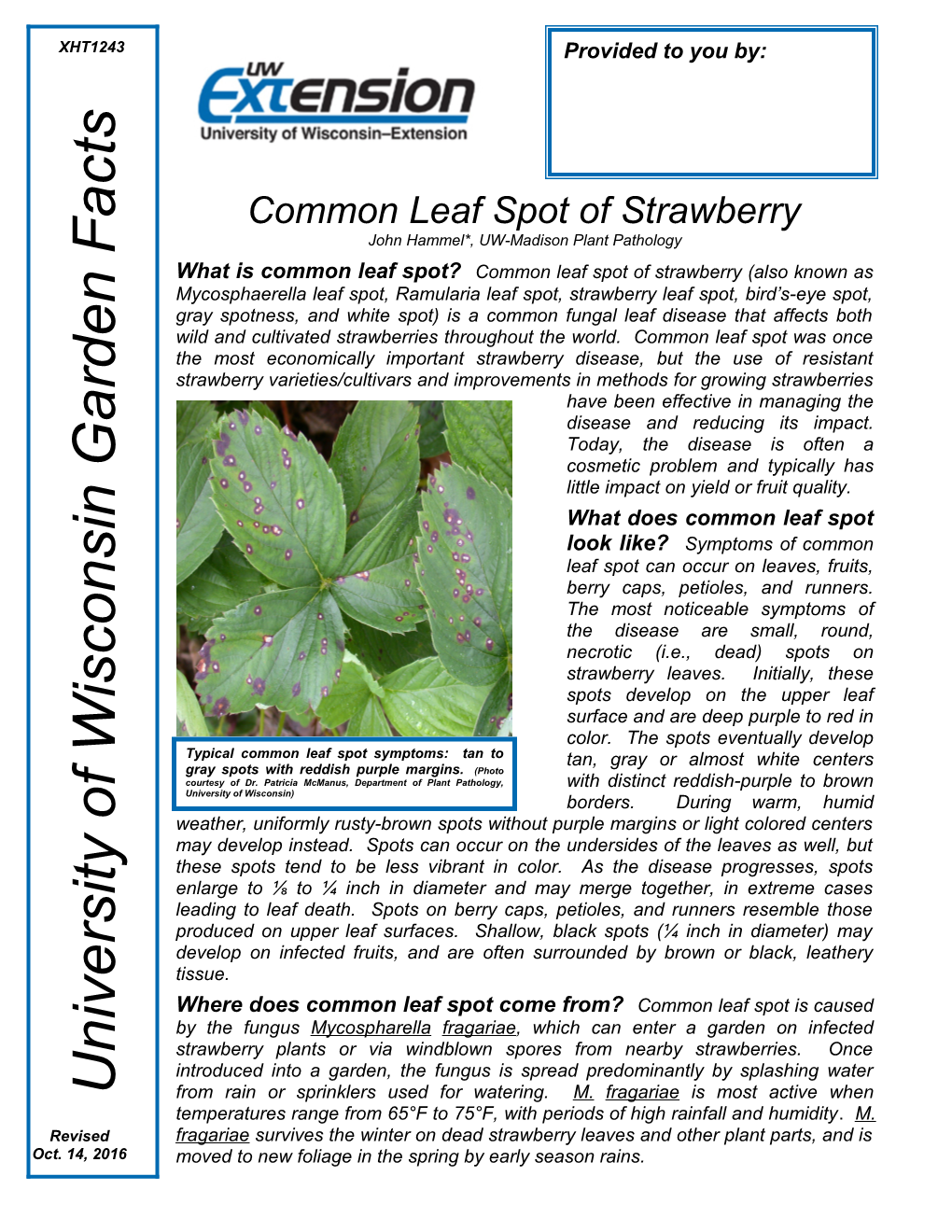 Common Leaf Spot of Strawberry