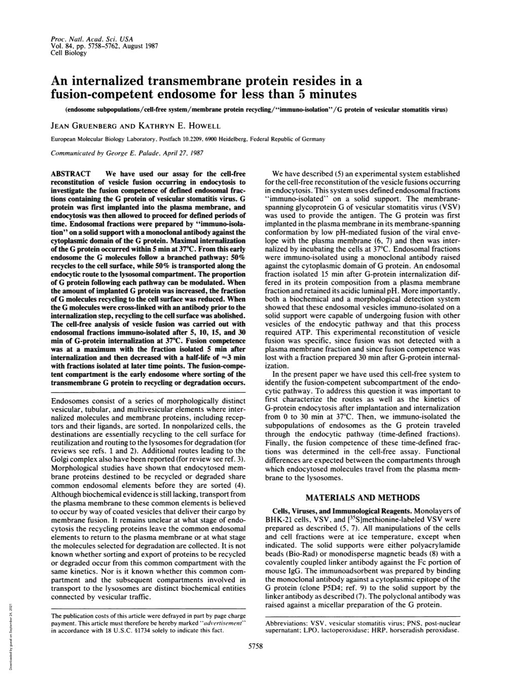 An Internalized Transmembrane Protein Resides in a Fusion