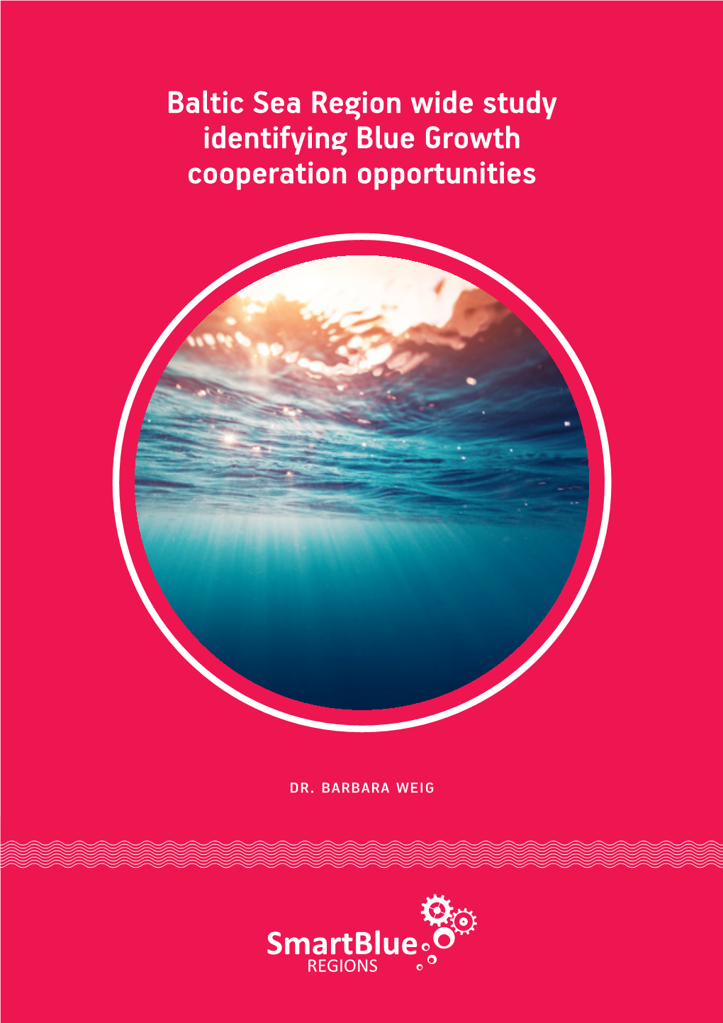 Baltic Sea Region Wide Study Identifying Blue Growth Cooperation Opportunities