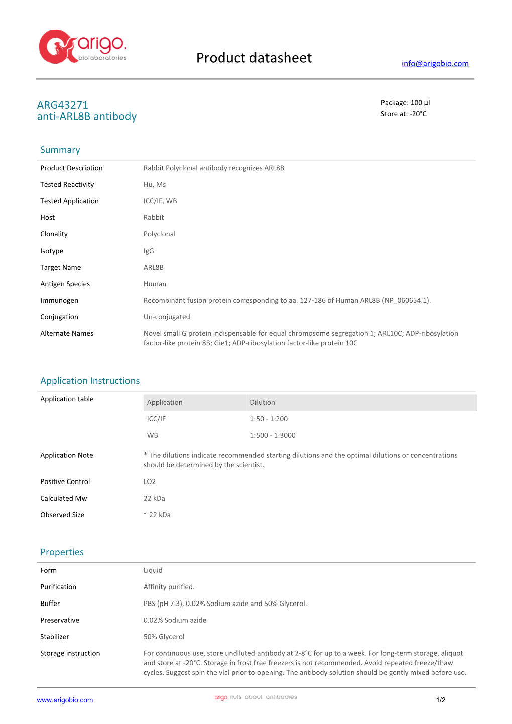 Anti-ARL8B Antibody (ARG43271)