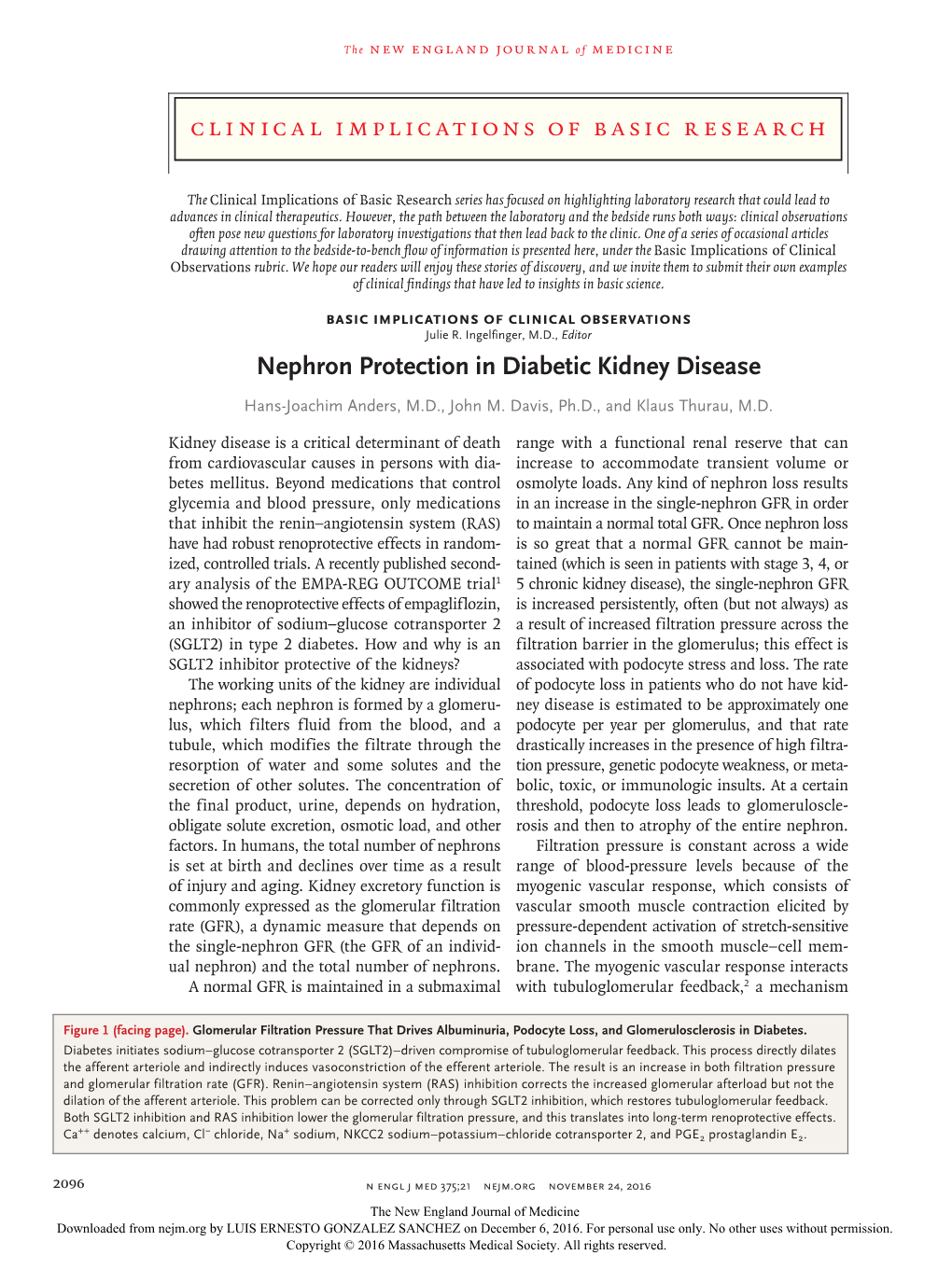 Nephron Protection in Diabetic Kidney Disease
