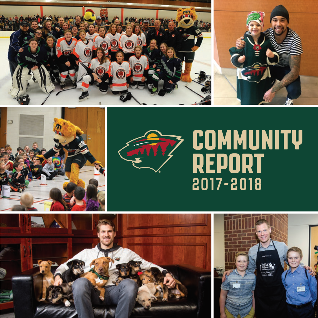 Community Report 2017-2018