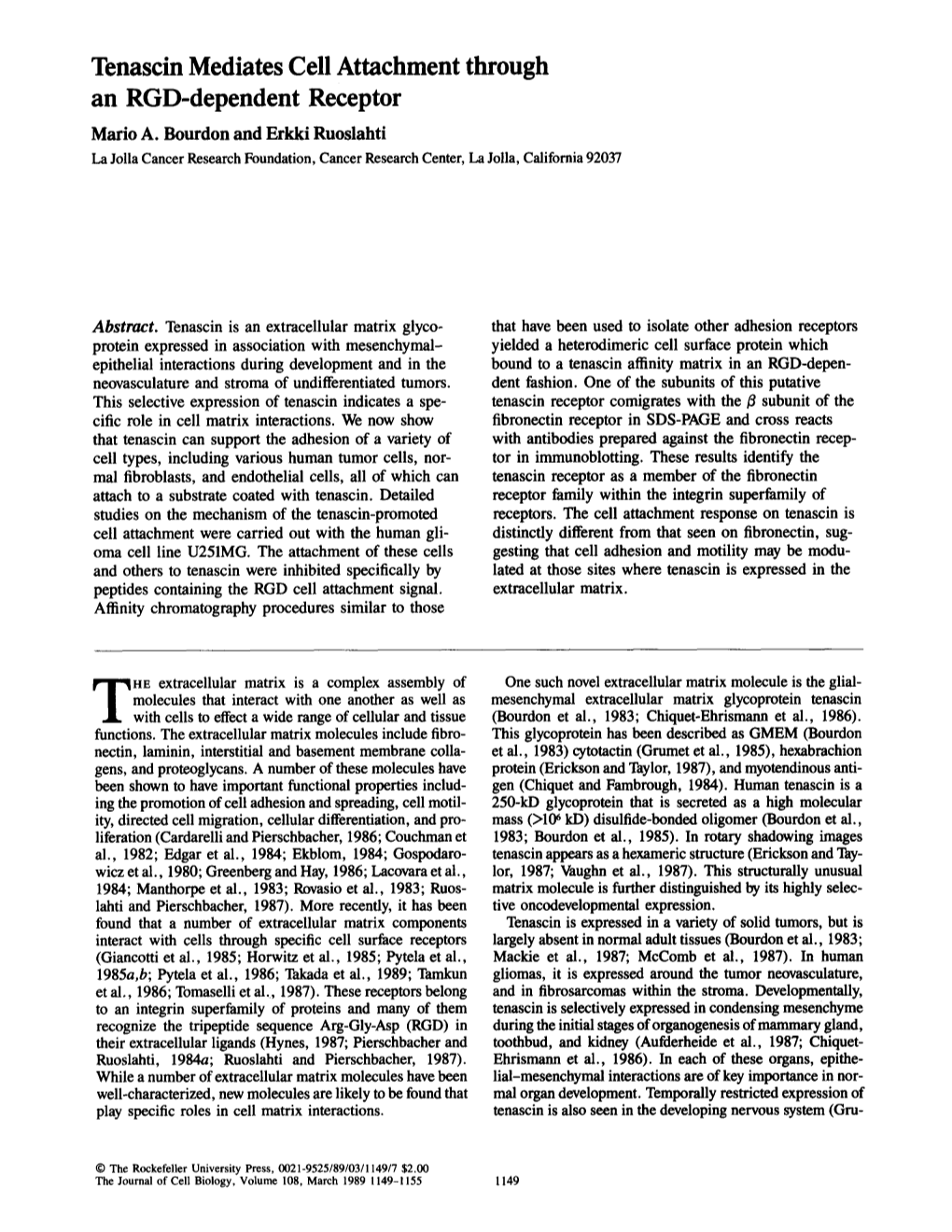 Tenascin Mediates Cell Attachment Through an RGD-Dependent Receptor Mario A