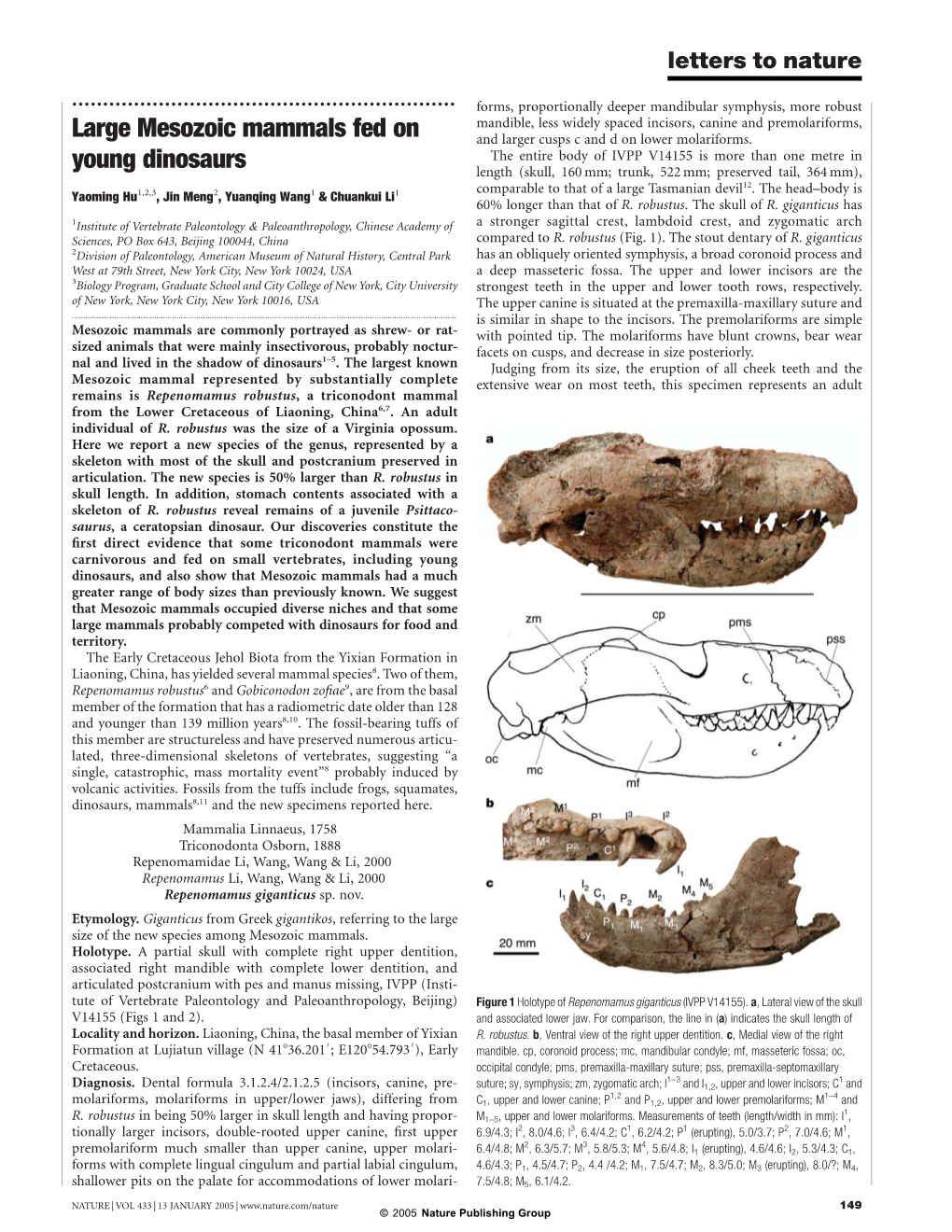 Large Mesozoic Mammals Fed on Young Dinosaurs