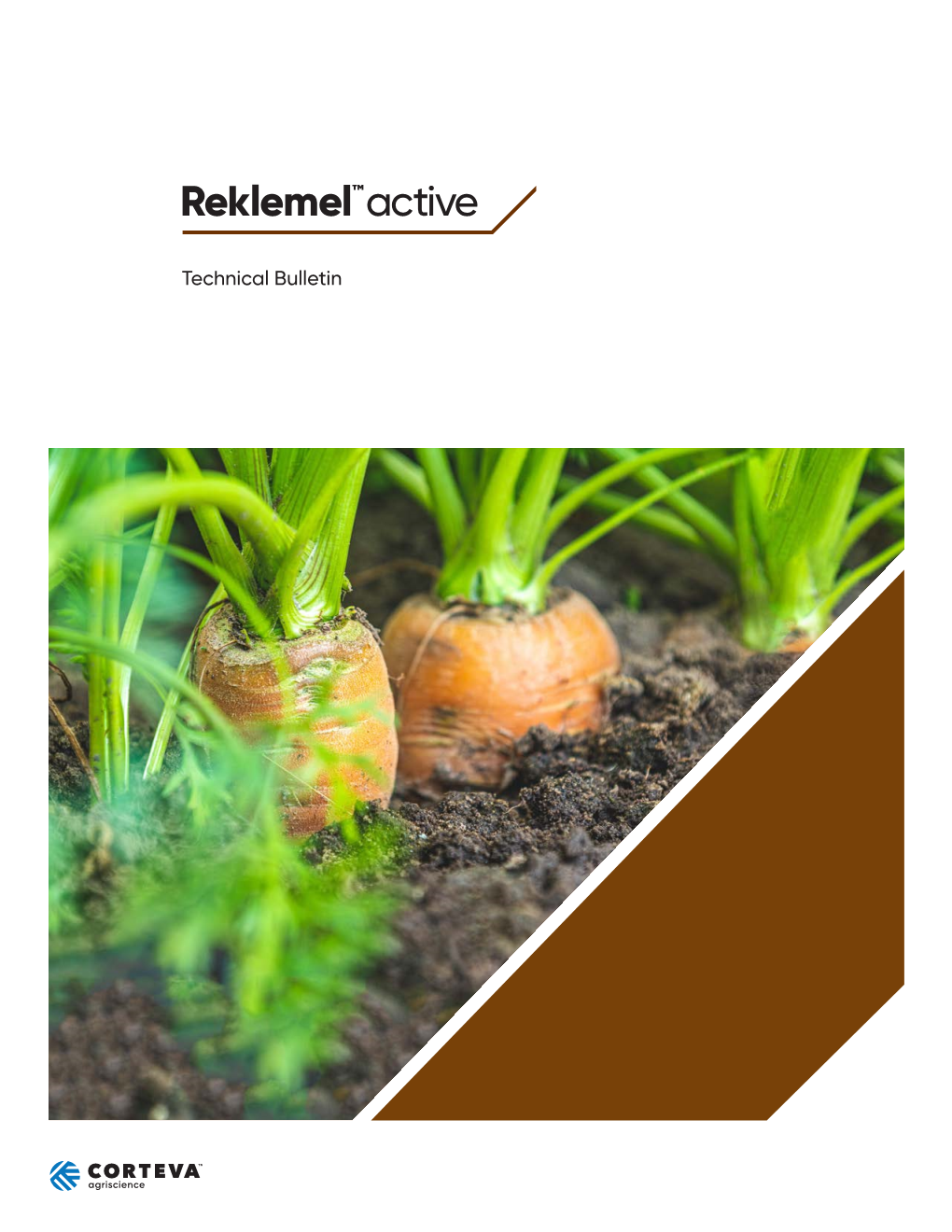 Technical Bulletin the Importance of a Healthy, Productive Soil Healthy Soils Are the Foundation for Successful Farming and Sustained Food Production