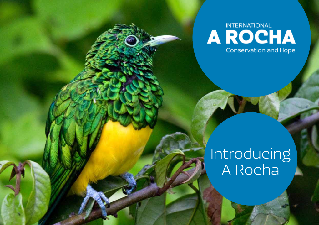 Introducing a Rocha Leaflet