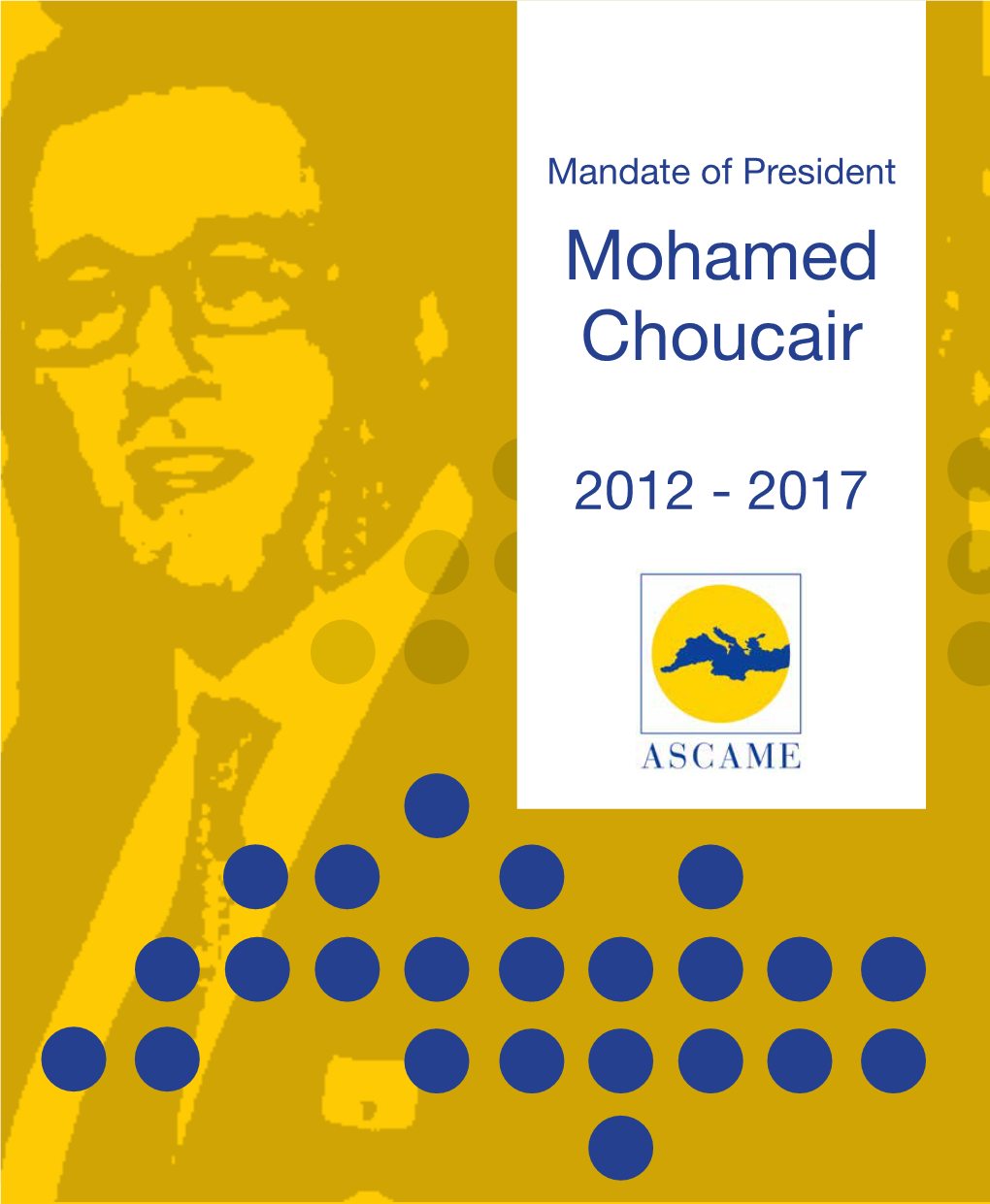 Mohamed Choucair 2012 - 2017