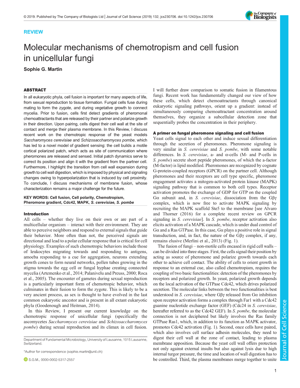 Molecular Mechanisms of Chemotropism and Cell Fusion in Unicellular Fungi Sophie G