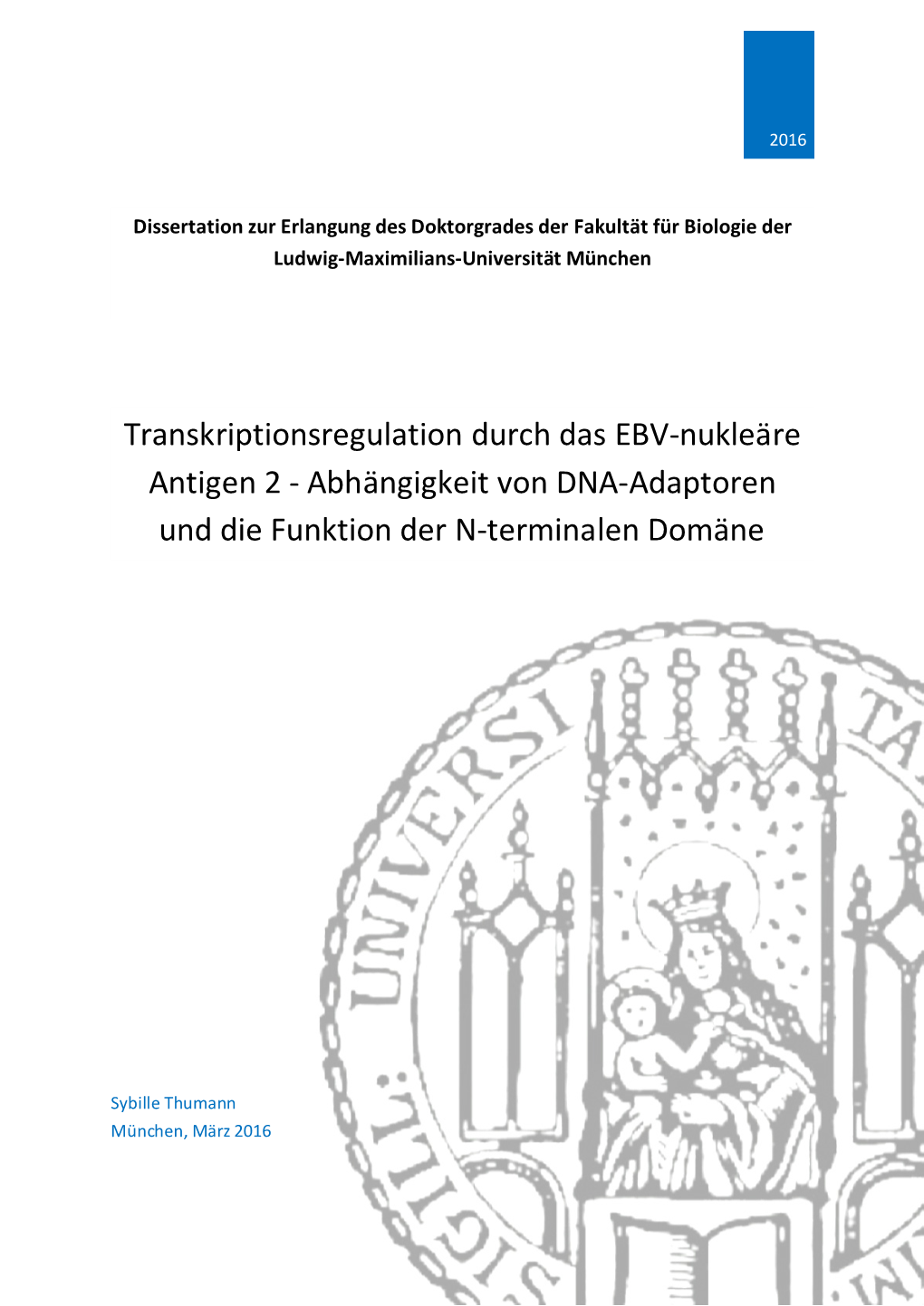 Transkriptionsregulation Durch Das EBV-Nukleäre Antigen 2 - Abhängigkeit Von DNA-Adaptoren Und Die Funktion Der N-Terminalen Domäne