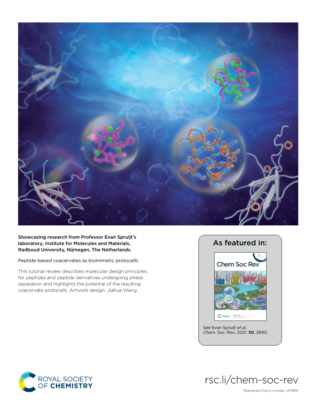 Peptide-Based Coacervates As Biomimetic Protocells