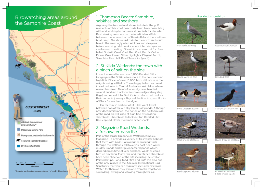 Birdwatching Areas Around the Samphire Coast