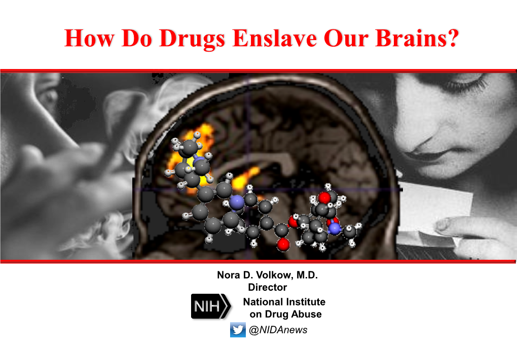 How Do Drugs Enslave Our Brains?