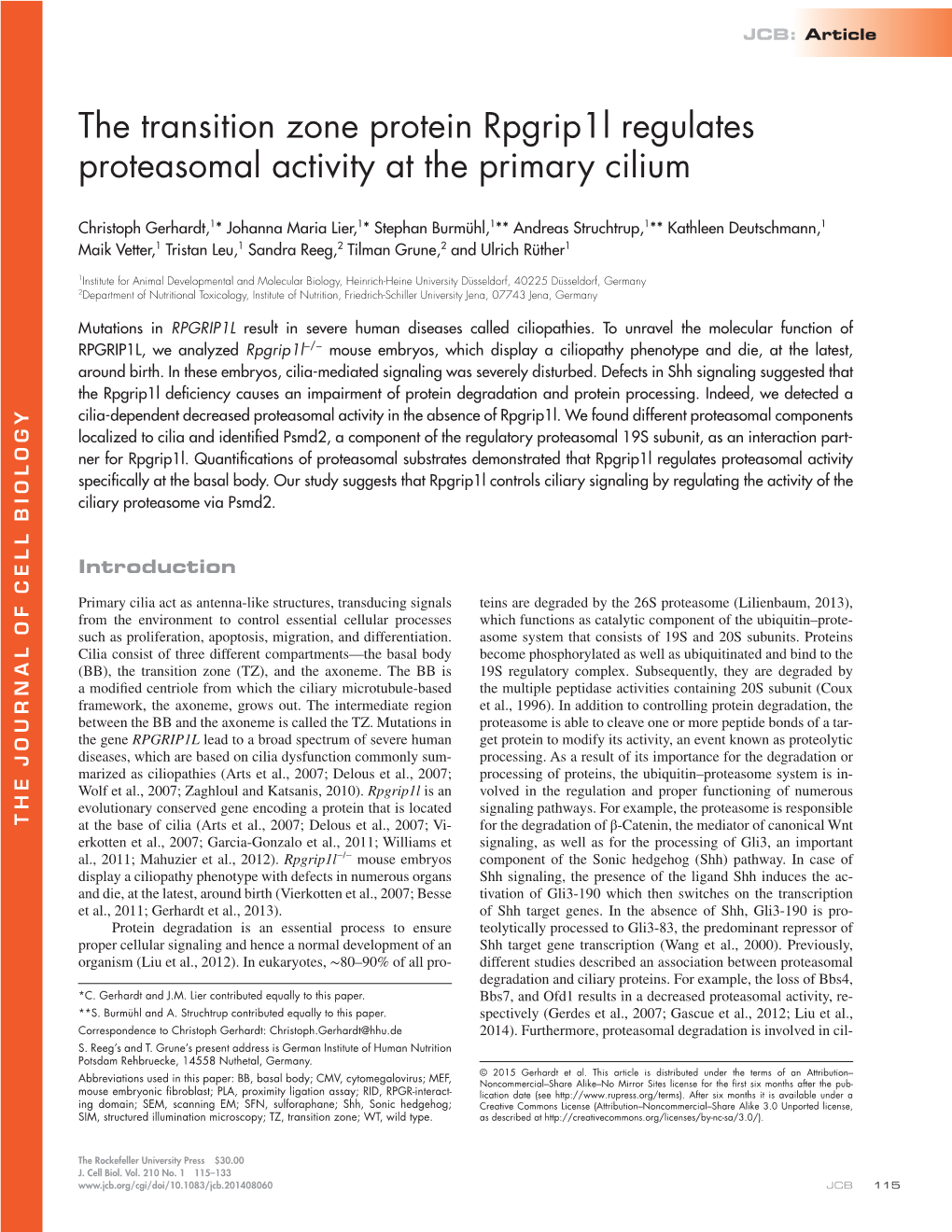 The Transition Zone Protein Rpgrip1l Regulates Proteasomal Activity at the Primary Cilium