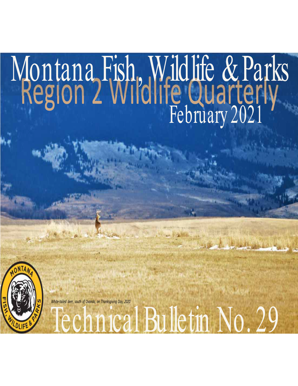 Region 2 Wildlife Quarterly February 2021