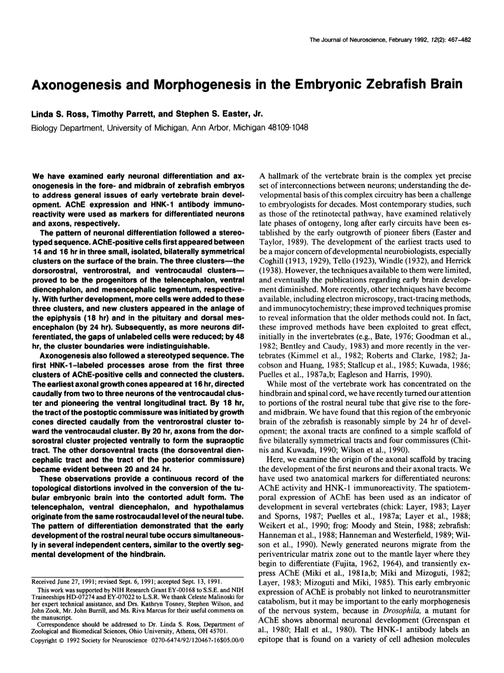 Axonogenesis and Morphogenesis in the Embryonic Zebrafish Brain