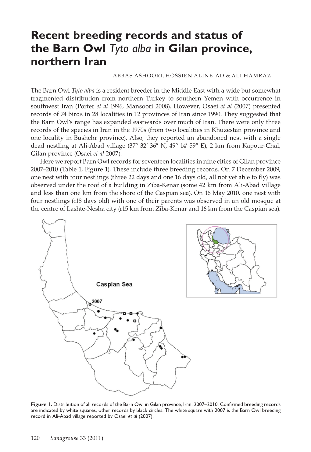 Recent Breeding Records and Status of the Barn Owl Tyto Alba in Gilan Province, Northern Iran ABBAS ASHOORI, HOSSIEN ALINEJAD & ALI HAMRAZ