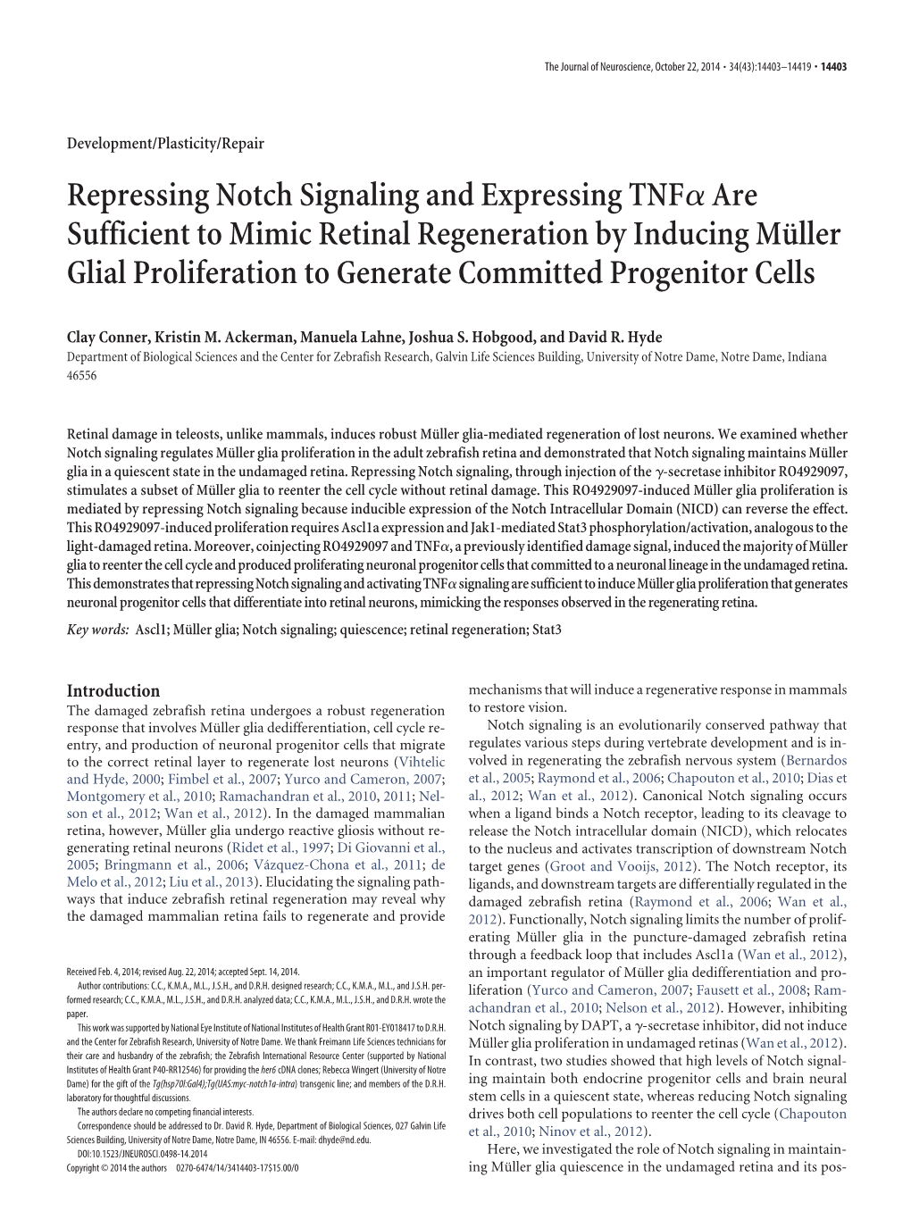 Repressing Notch Signaling and Expressing TNF Are Sufficient To