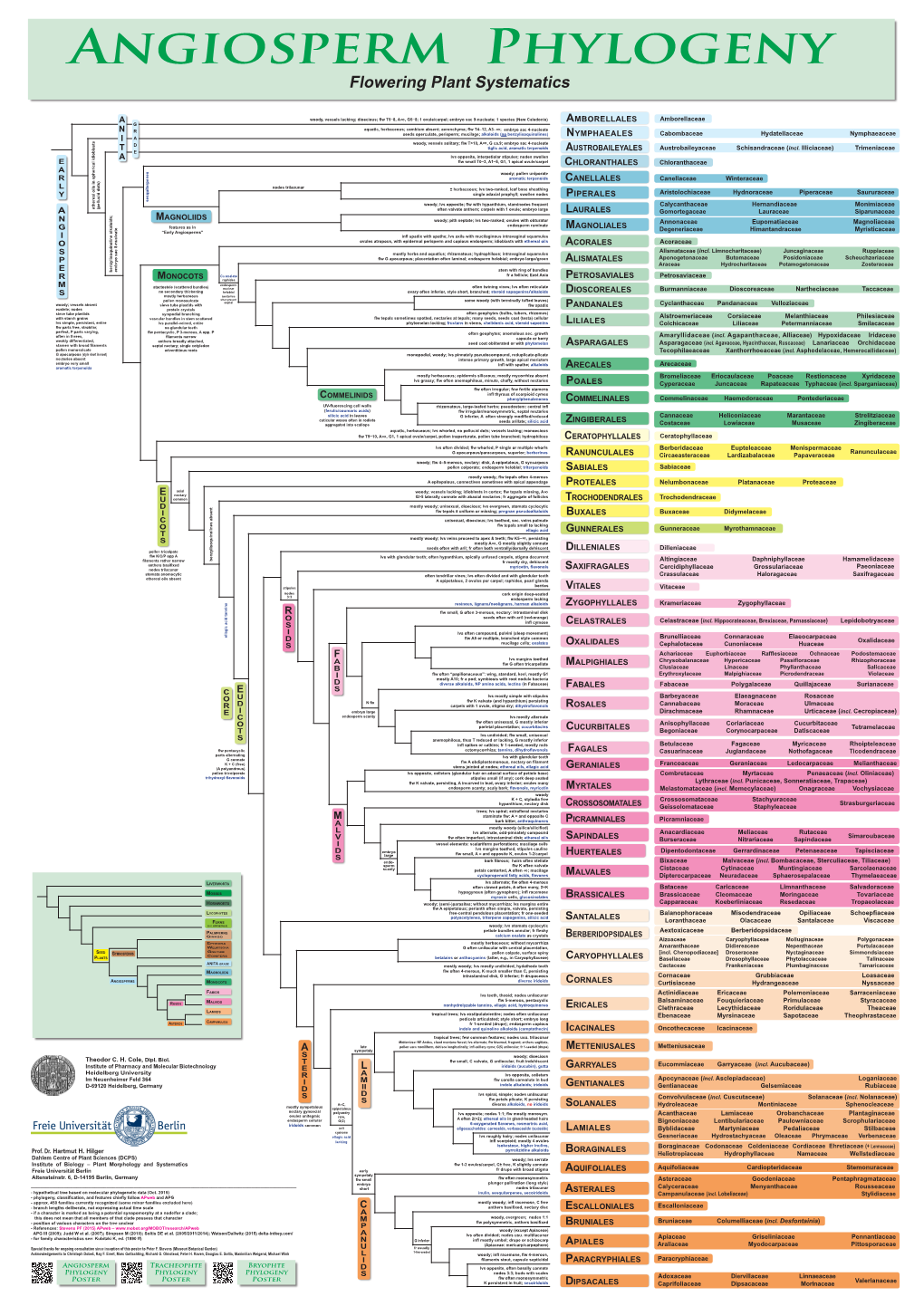 Flowering Plant Systematics