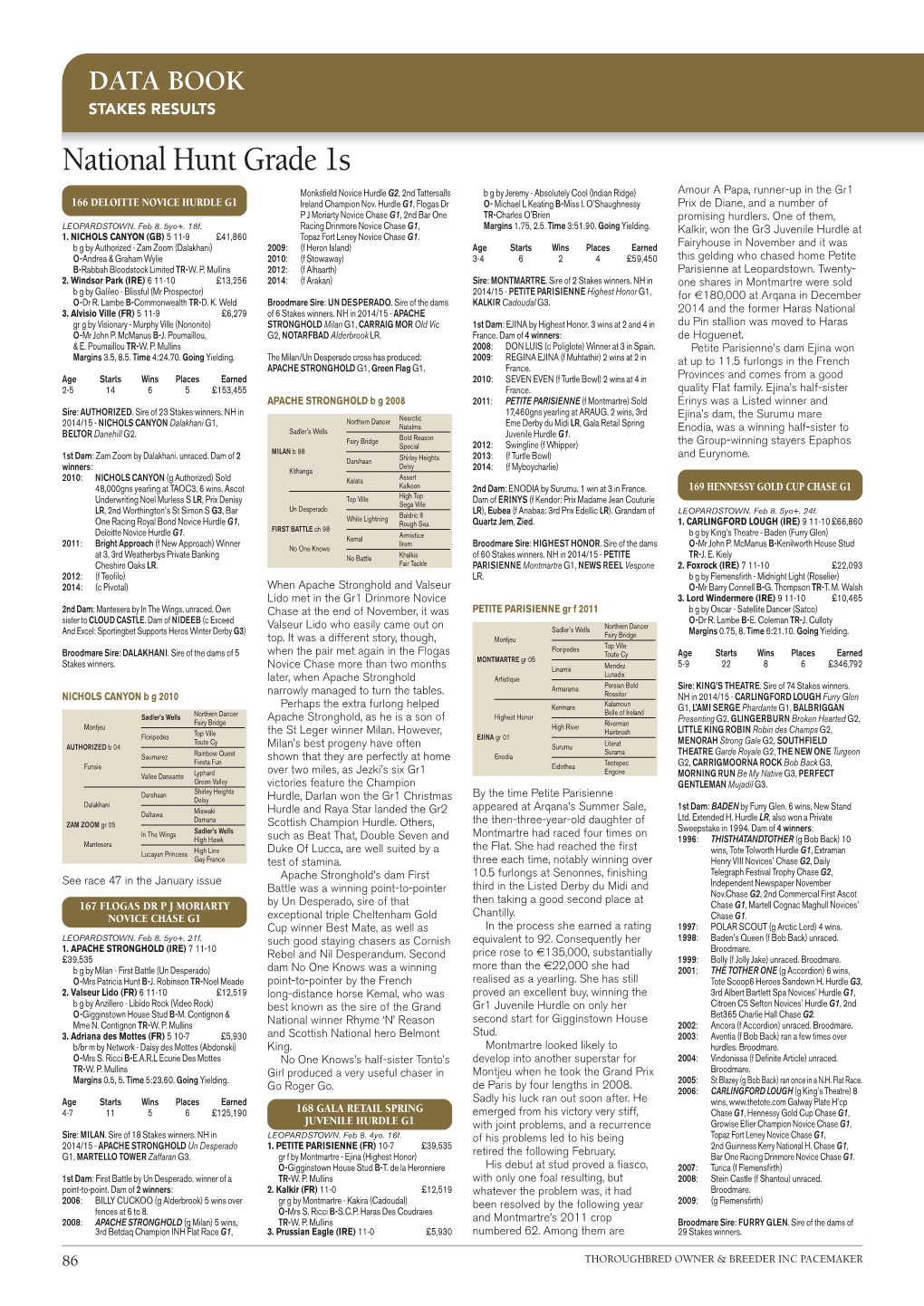 National Hunt Grade 1S