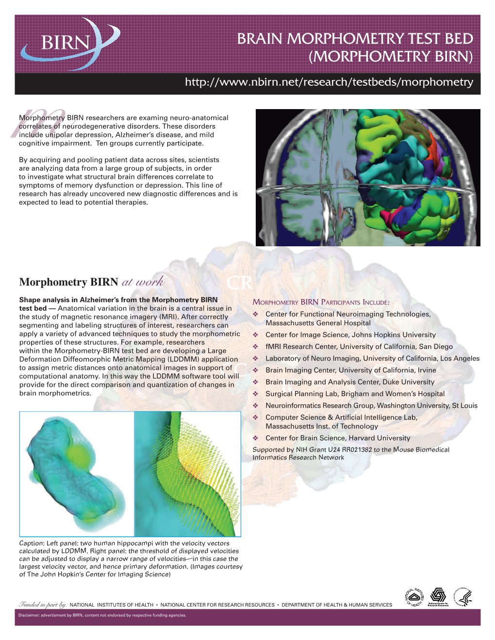 Brain Morphometry Test Bed (Morphometry Birn)