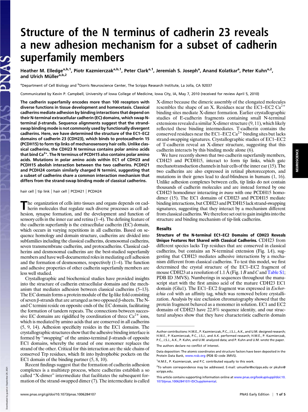 Structure of the N Terminus of Cadherin 23 Reveals a New Adhesion Mechanism for a Subset of Cadherin Superfamily Members