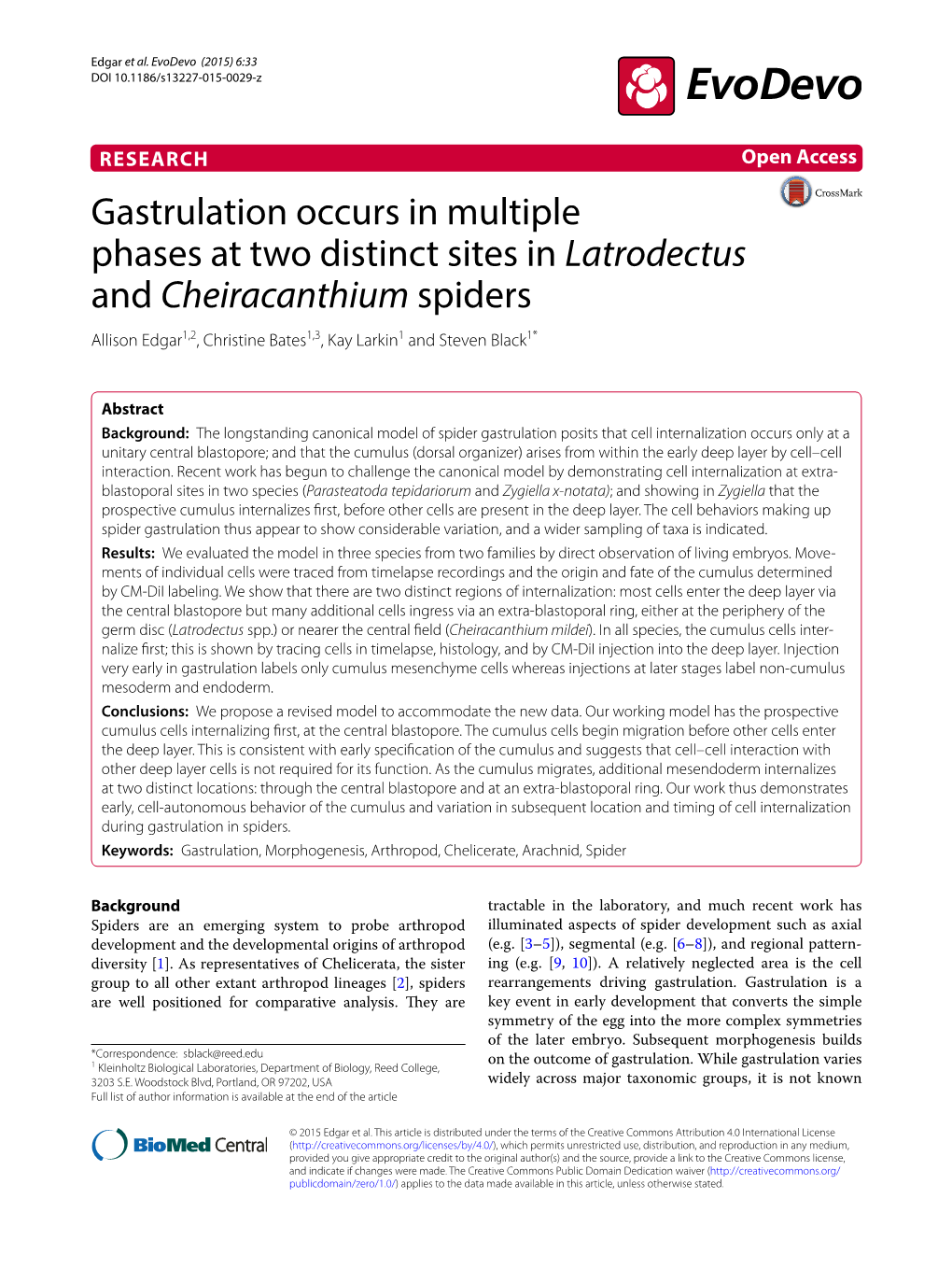 Gastrulation Occurs in Multiple Phases at Two Distinct Sites in Latrodectus