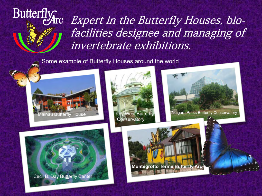 Expert in the Butterfly Houses, Bio- Facilities Designee and Managing of Invertebrate Exhibitions