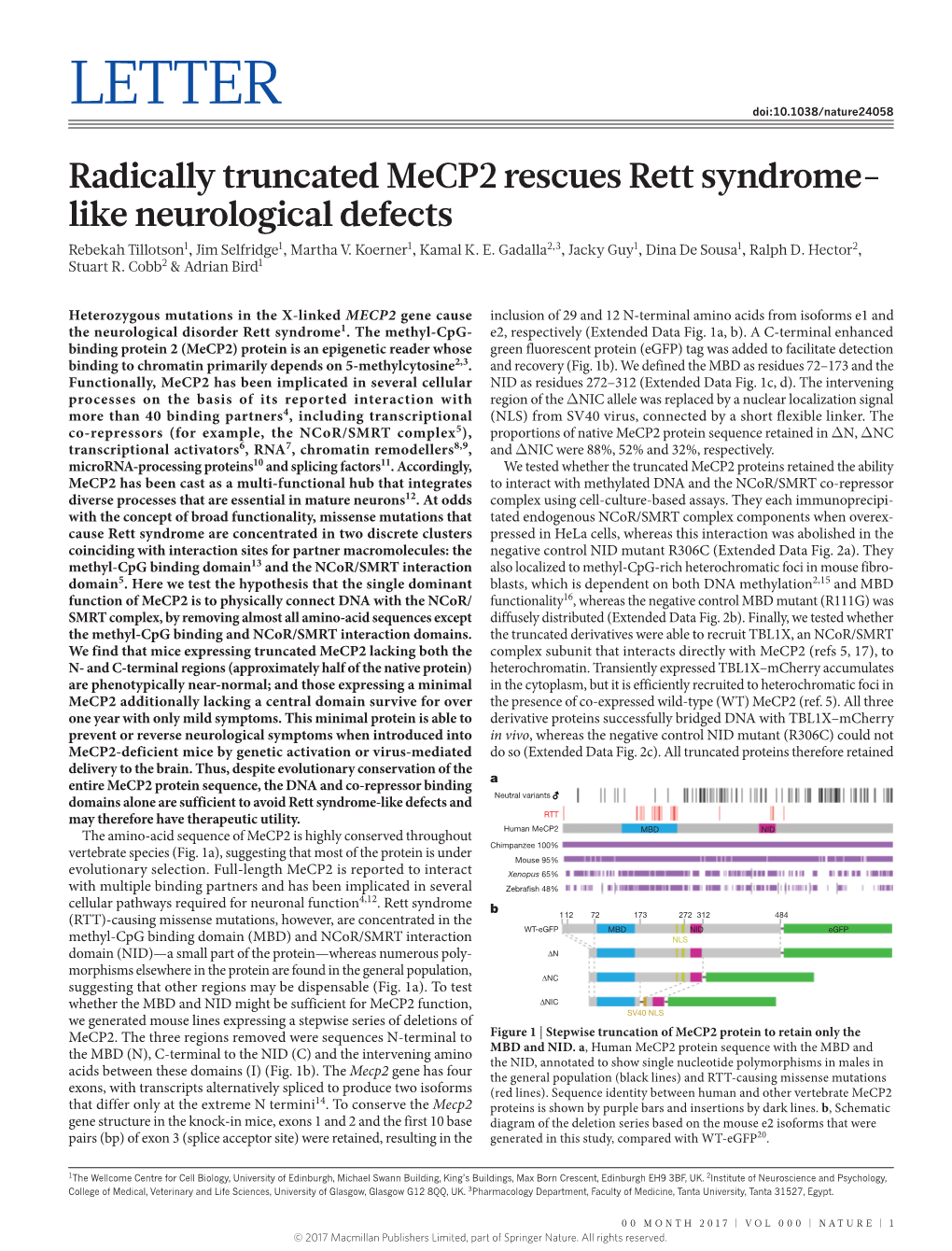Radically Truncated Mecp2 Rescues Rett Syndrome-Like