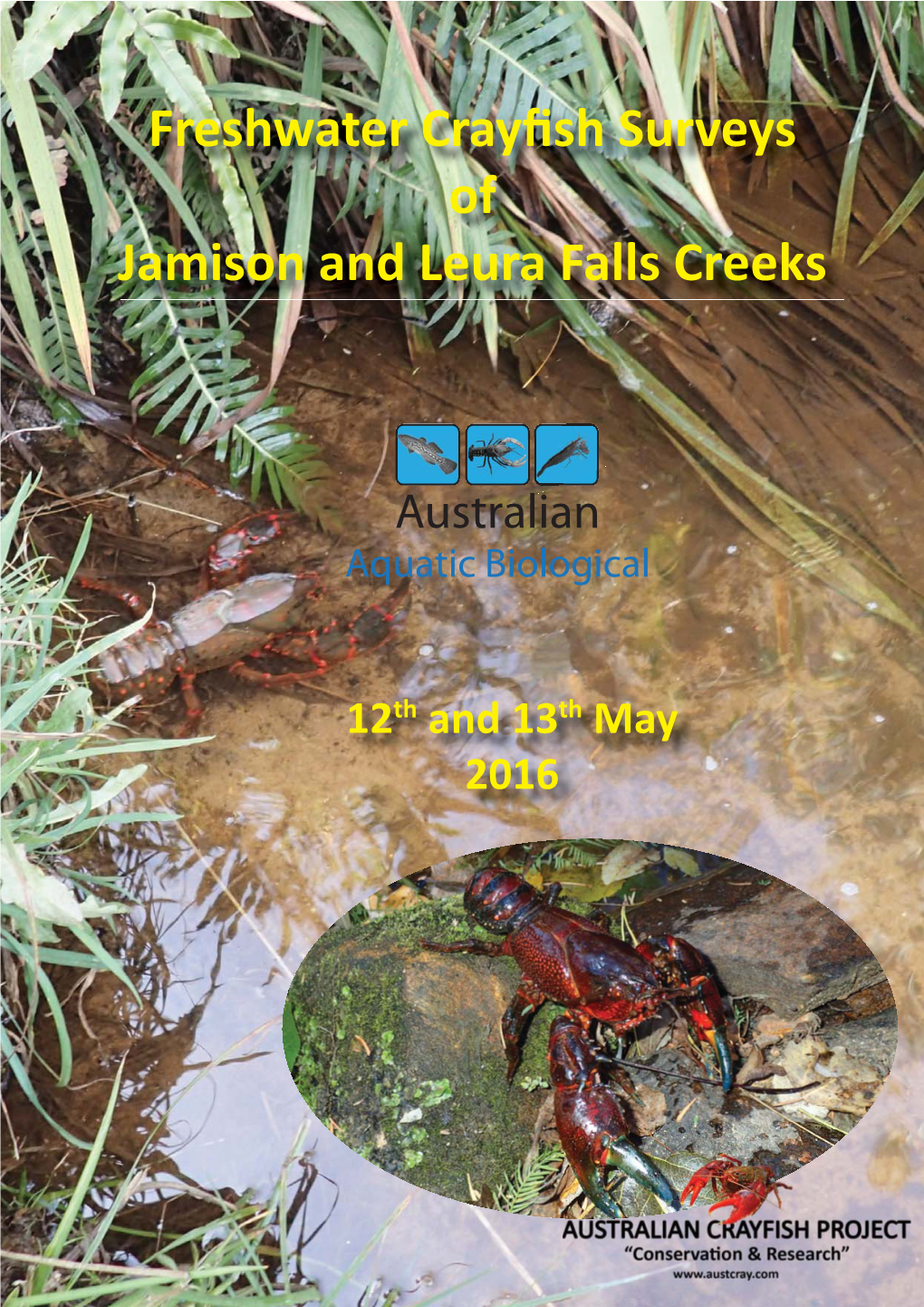 Freshwater Crayfish Surveys of Jamison and Leura Falls Creeks