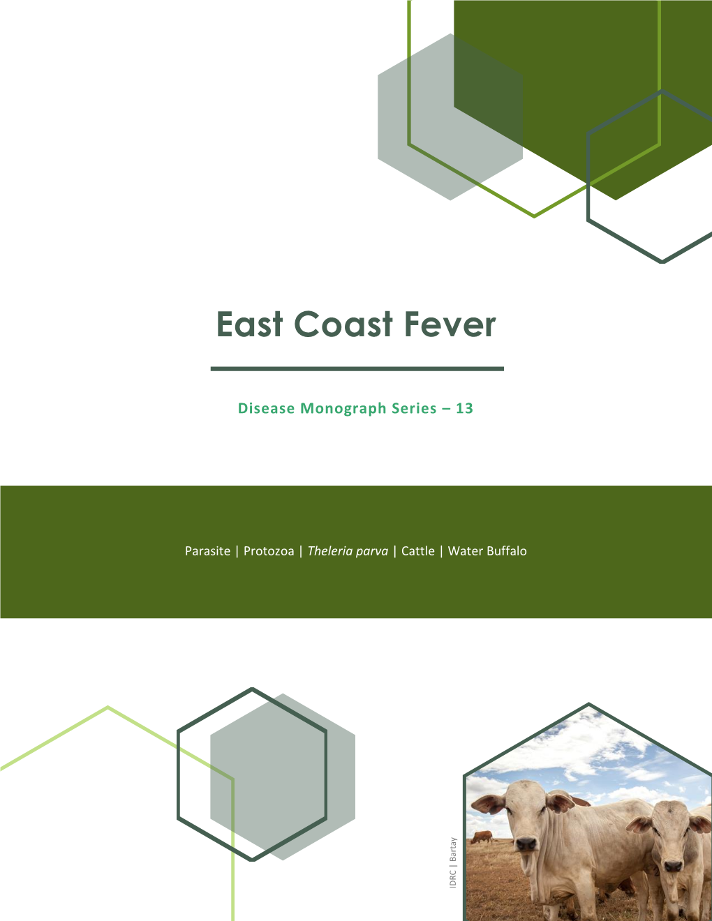 East Coast Fever | Monograph 13 • • •