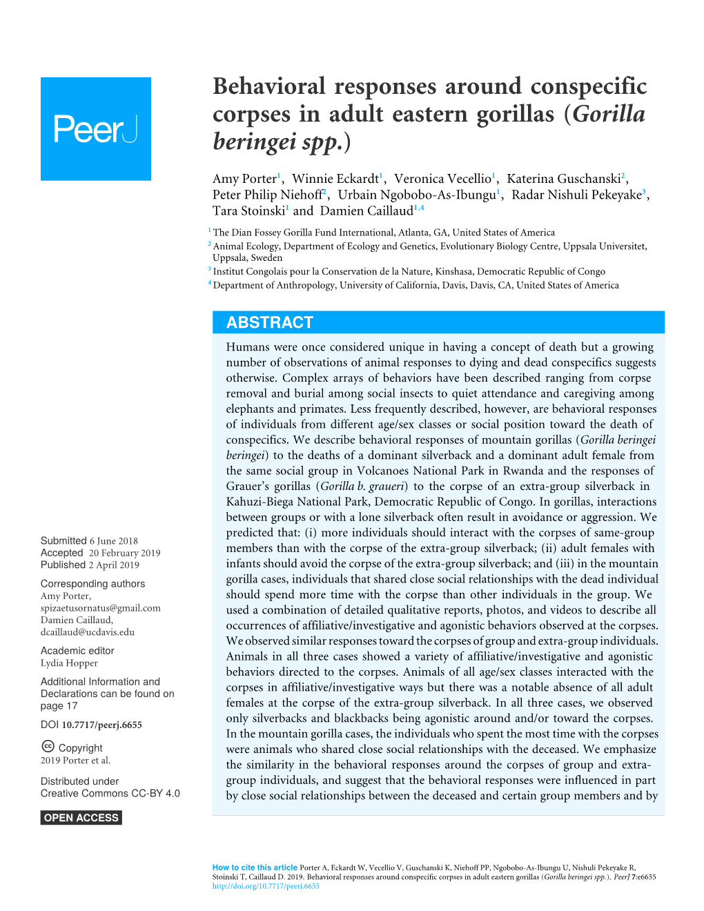 Gorilla Beringei Spp.)