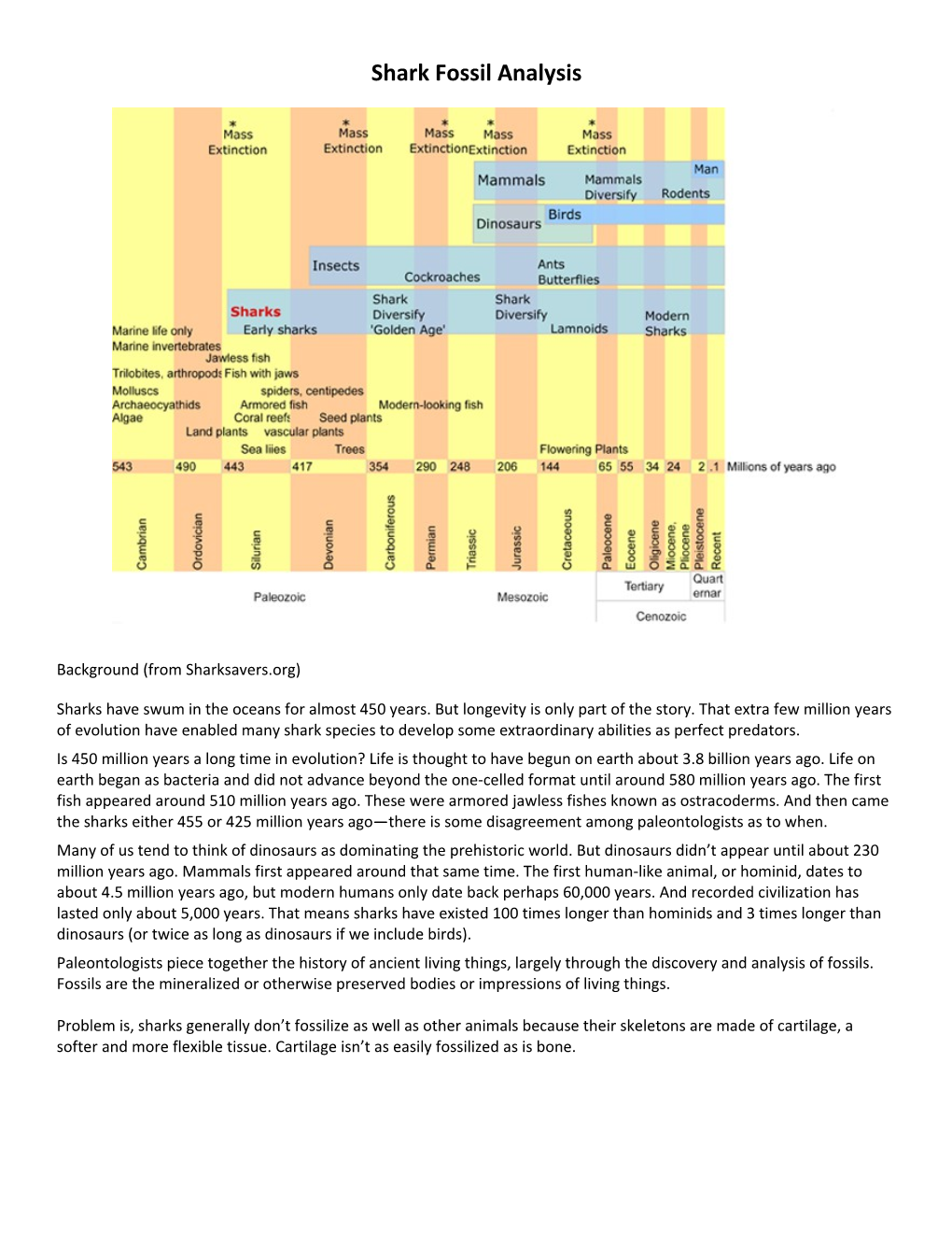 Shark Fossil Analysis