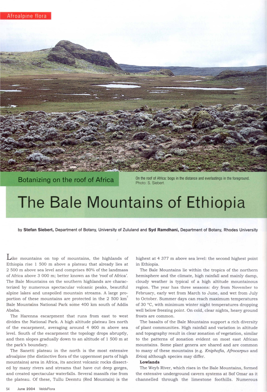 The Bale Mountains of Ethiopia