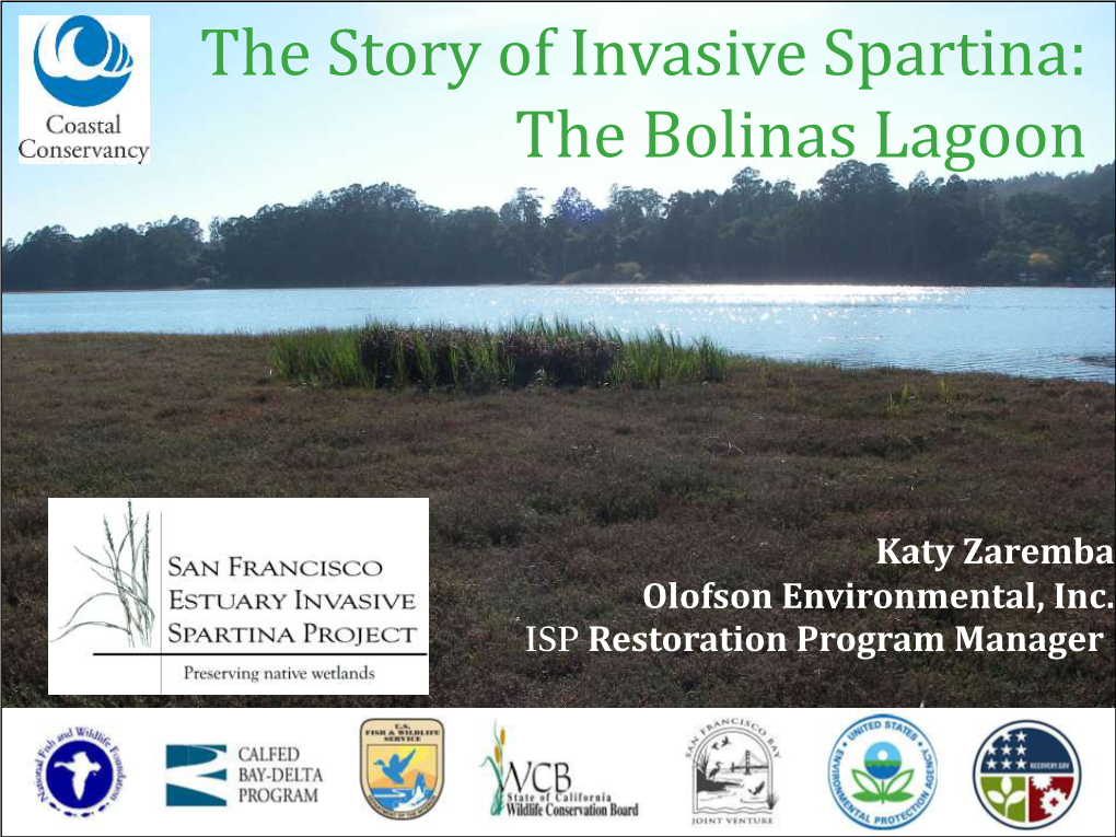 The Story of Invasive Spartina: the Bolinas Lagoon