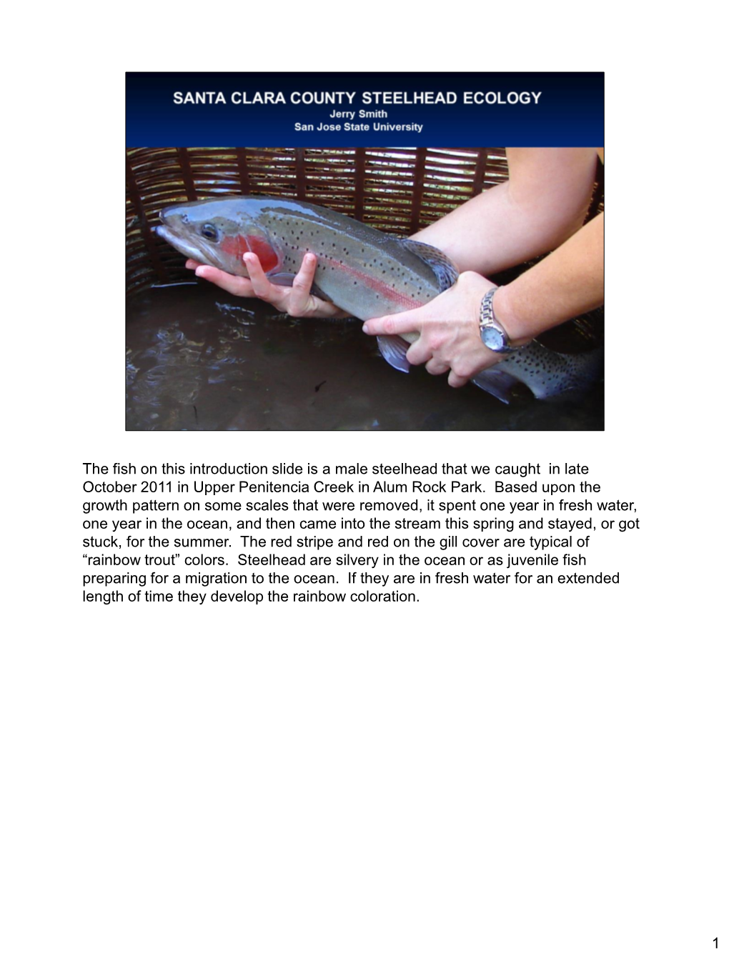 The Fish on This Introduction Slide Is a Male Steelhead That We Caught in Late October 2011 in Upper Penitencia Creek in Alum Rock Park