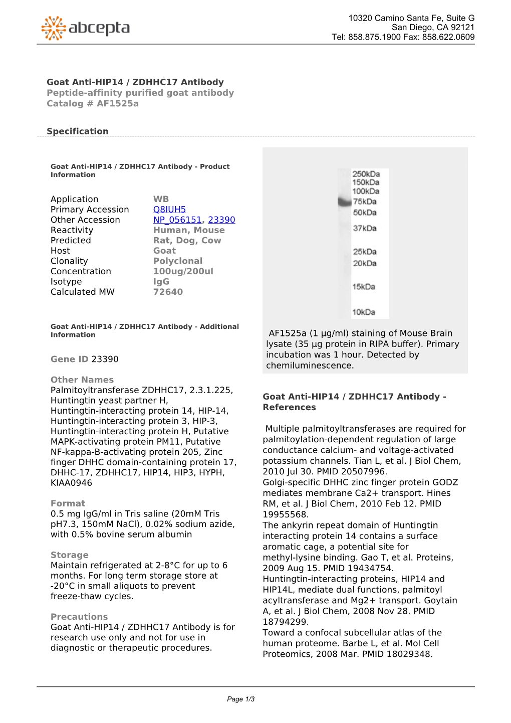 Goat Anti-HIP14 / ZDHHC17 Antibody Peptide-Affinity Purified Goat Antibody Catalog # Af1525a