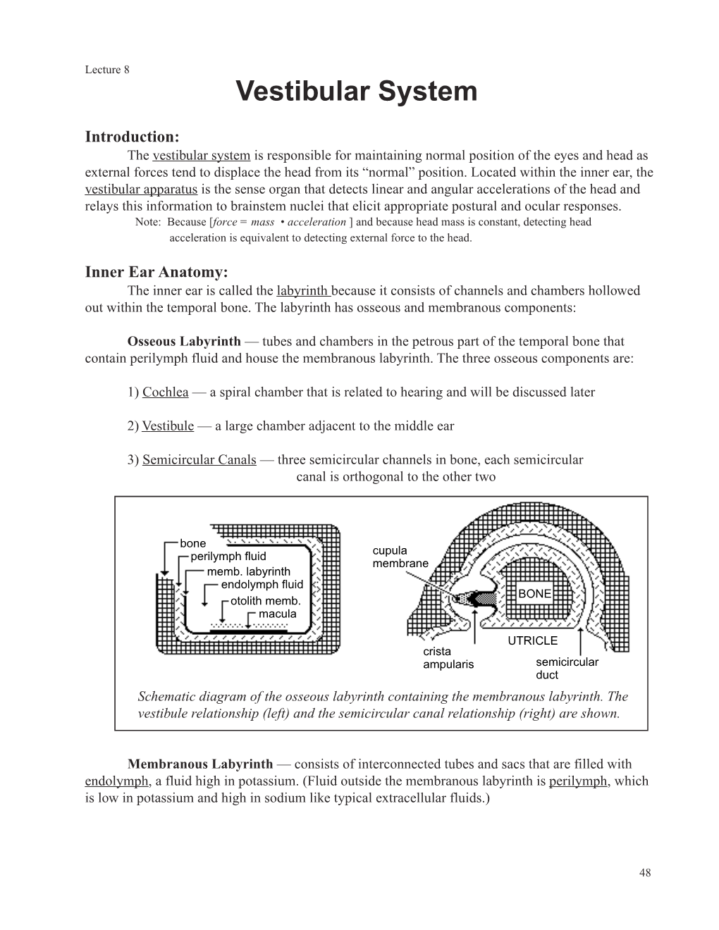 Vestibular Sys. Lect