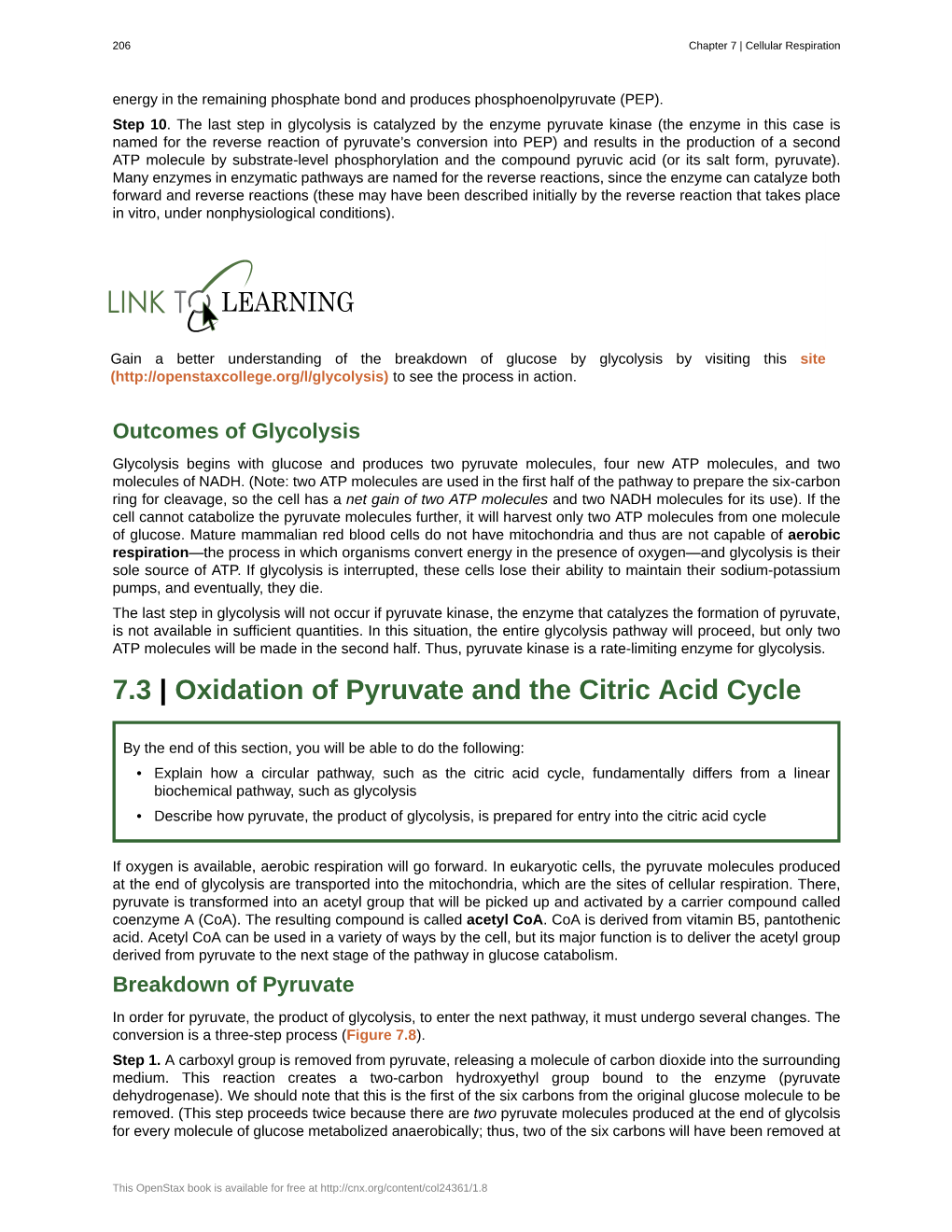 Oxidation of Pyruvate and the Citric Acid Cycle