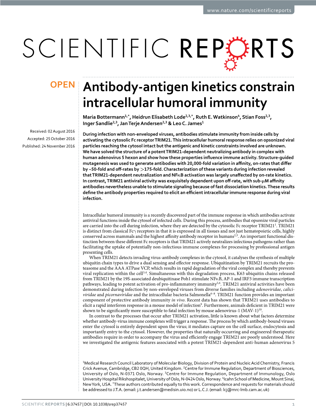 Antibody-Antigen Kinetics Constrain Intracellular Humoral Immunity Maria Bottermann1,*, Heidrun Elisabeth Lode2,3,*, Ruth E