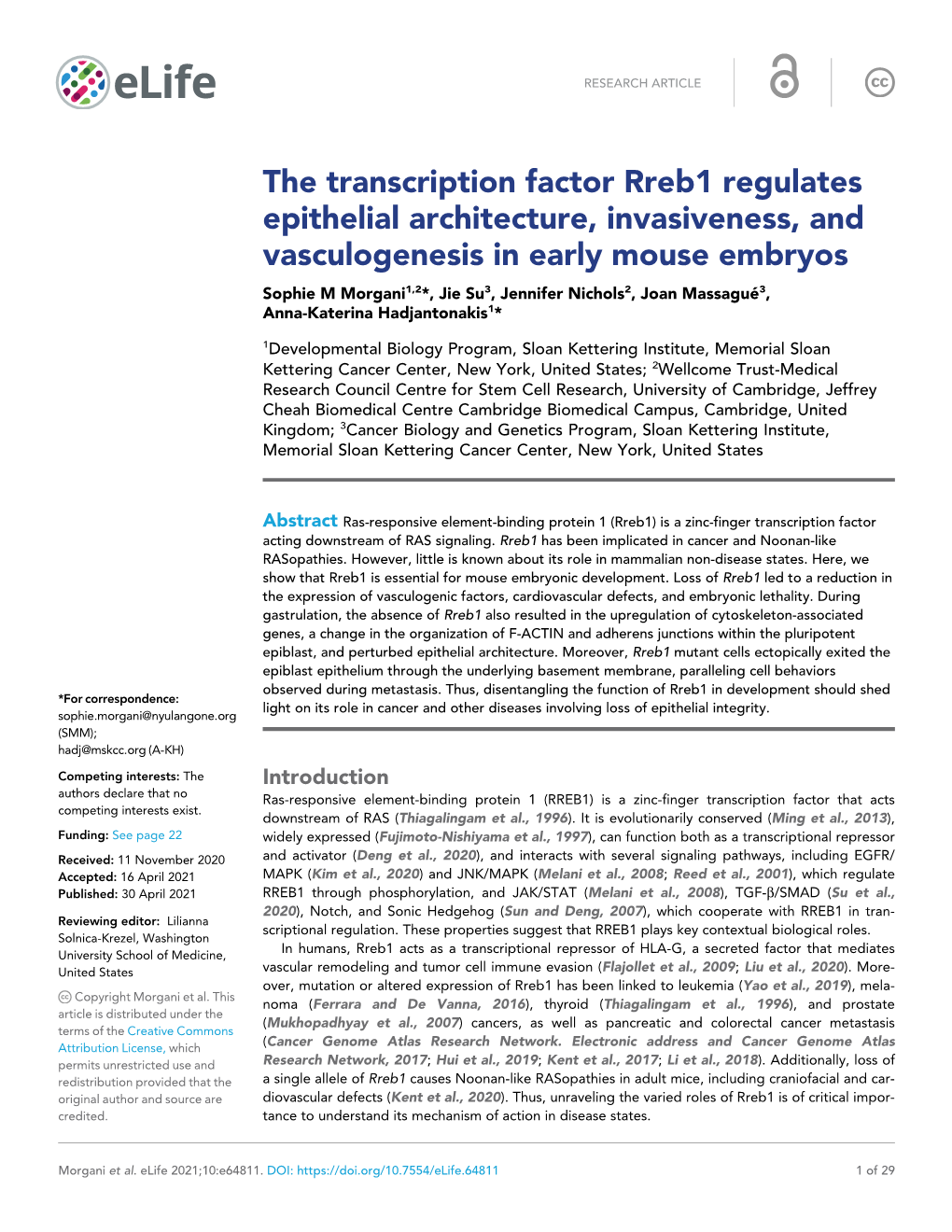 The Transcription Factor Rreb1 Regulates Epithelial Architecture, Invasiveness, and Vasculogenesis in Early Mouse Embryos