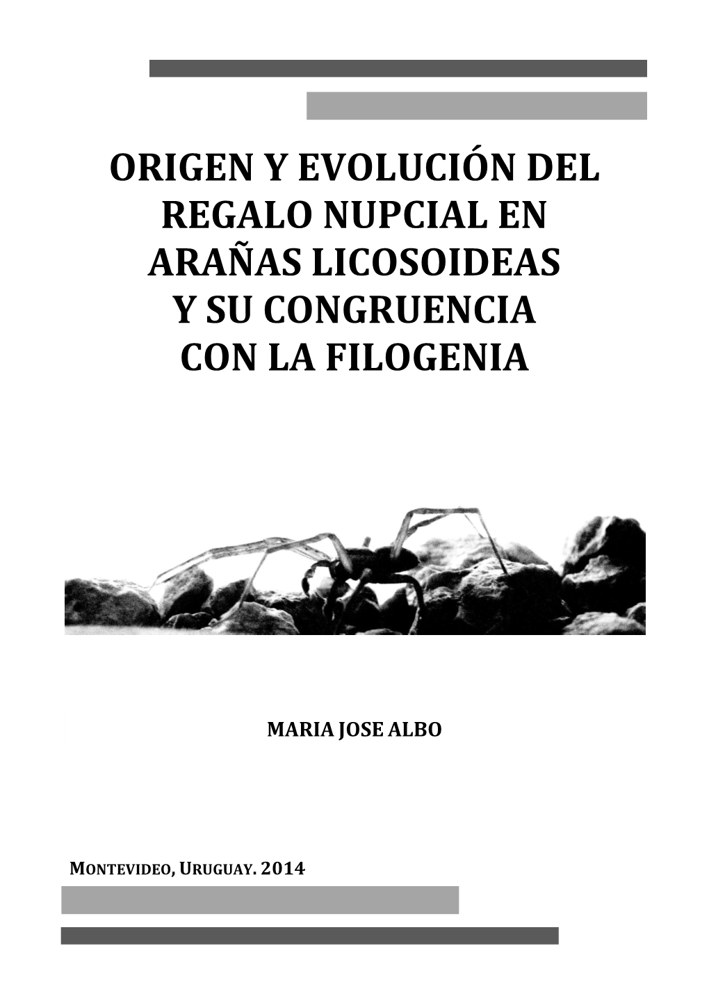 Origen Y Evolución Del Regalo Nupcial En Arañas Licosoideas Y Su Congruencia Con La Filogenia