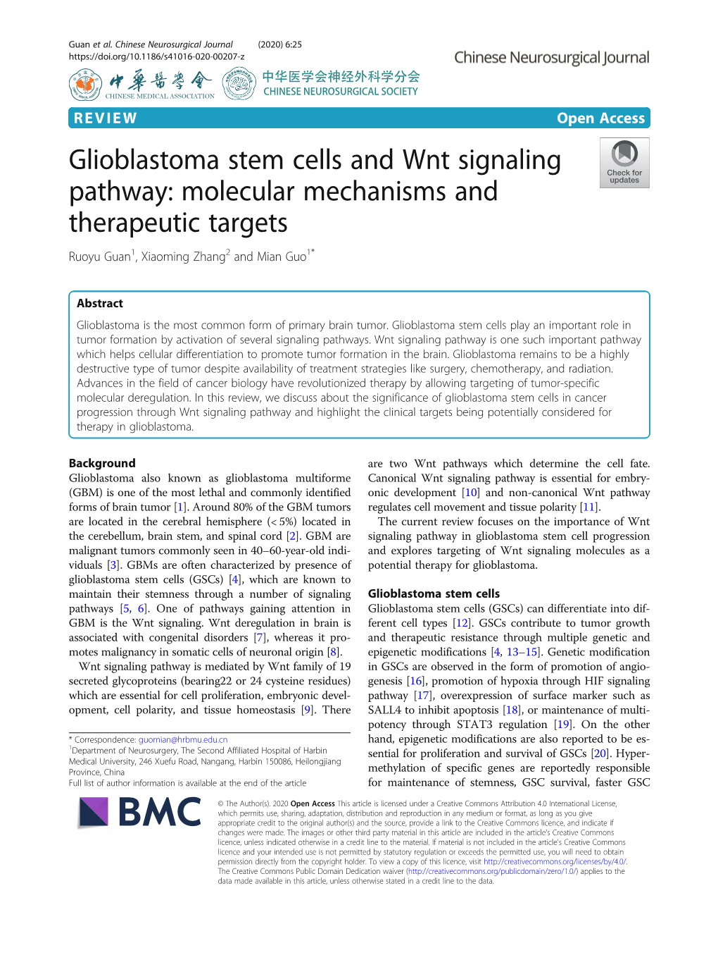 Glioblastoma Stem Cells and Wnt Signaling Pathway: Molecular Mechanisms and Therapeutic Targets Ruoyu Guan1, Xiaoming Zhang2 and Mian Guo1*