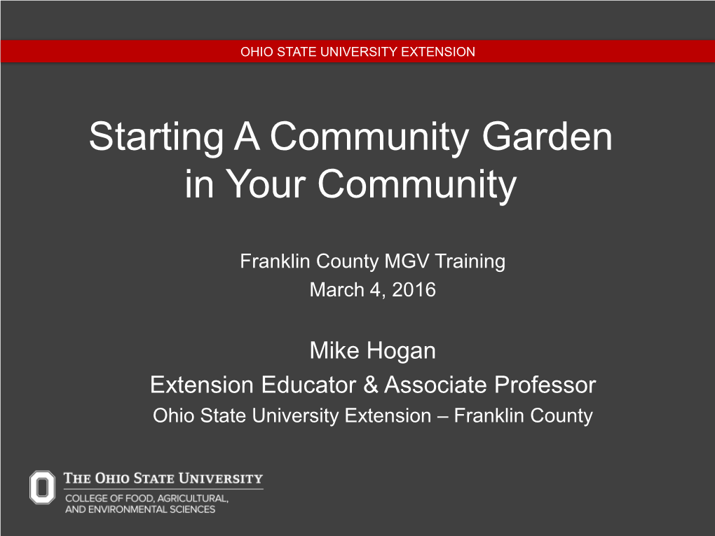 Starting a Community Garden in Your Community