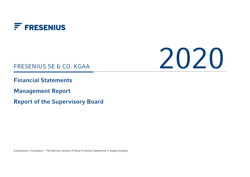 Financial Statements 2020 (HGB)