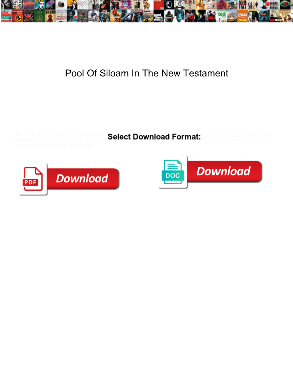 Pool of Siloam in the New Testament