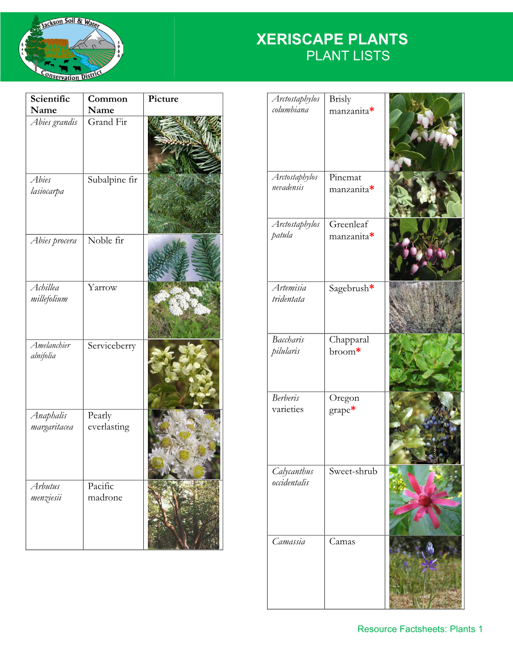 Xeriscape Plants Plant Lists