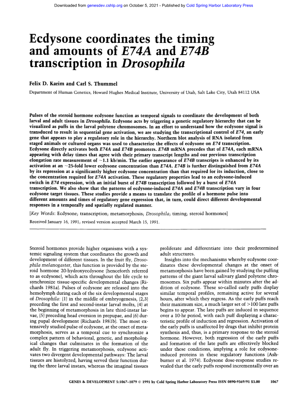 Ecdysone Coordinates the Timing and Amounts of E74A and E74B Transcription in Drosophila