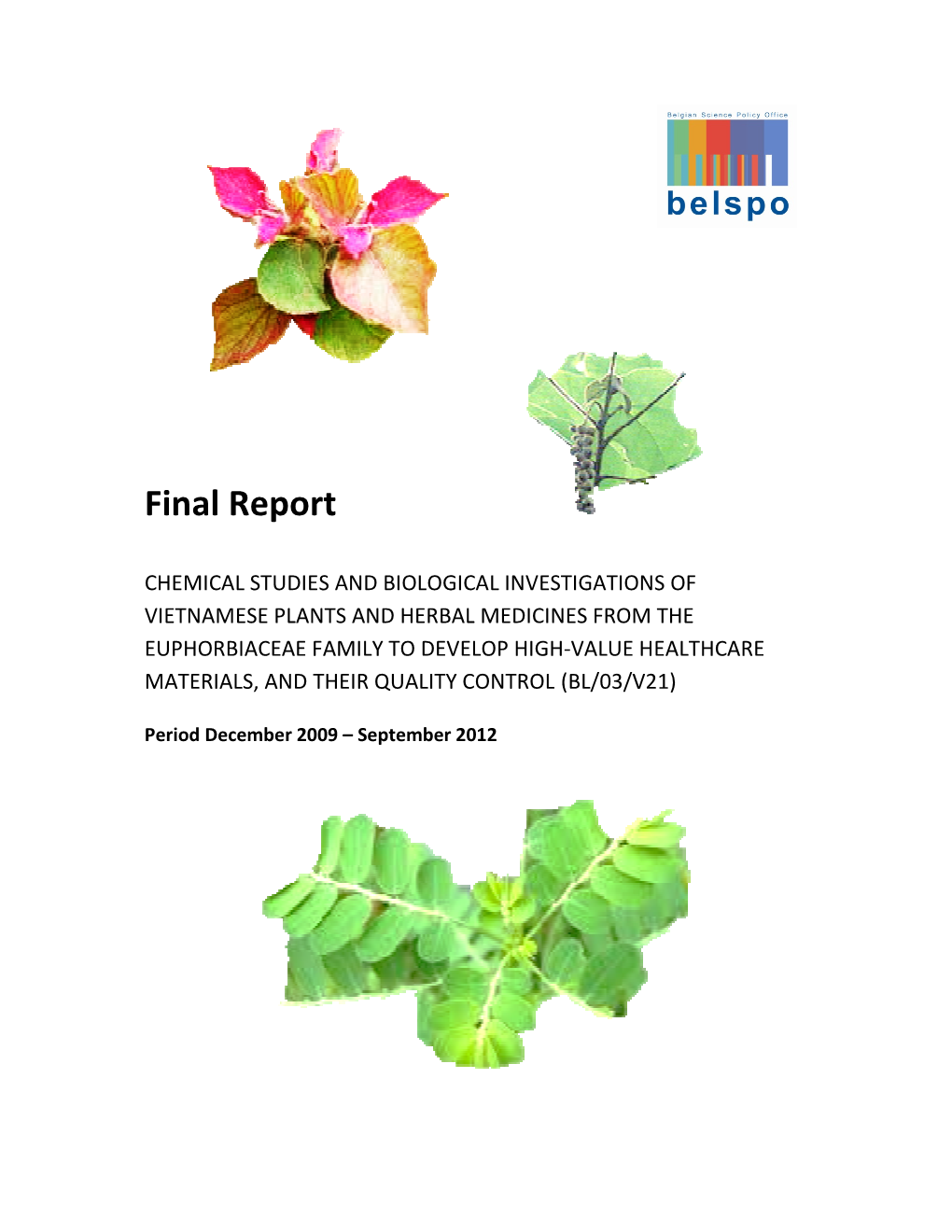 Final Report